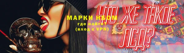 дживик Баксан