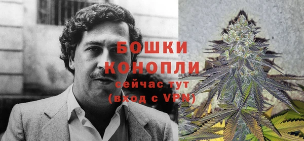 кокаин премиум Белокуриха