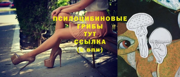 крисы Белоозёрский