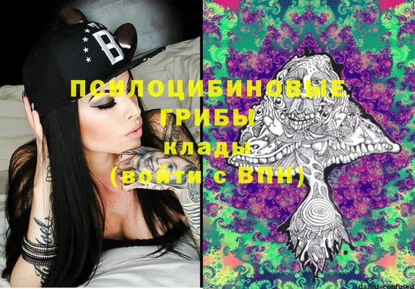 крисы Белоозёрский