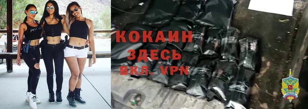 крисы Белоозёрский