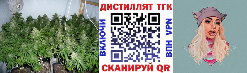 ТГК концентрат  цена   Демидов 