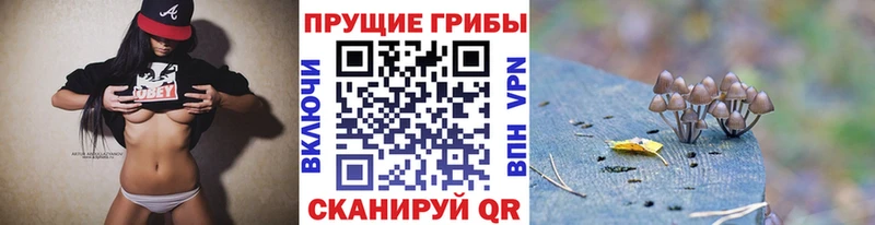 Псилоцибиновые грибы Cubensis kraken tor Демидов
